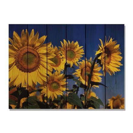 RICKI&APOSS RUGS 33 x 24 in. Sunny Bunch Inside & Outside Cedar Wall Art RI896454